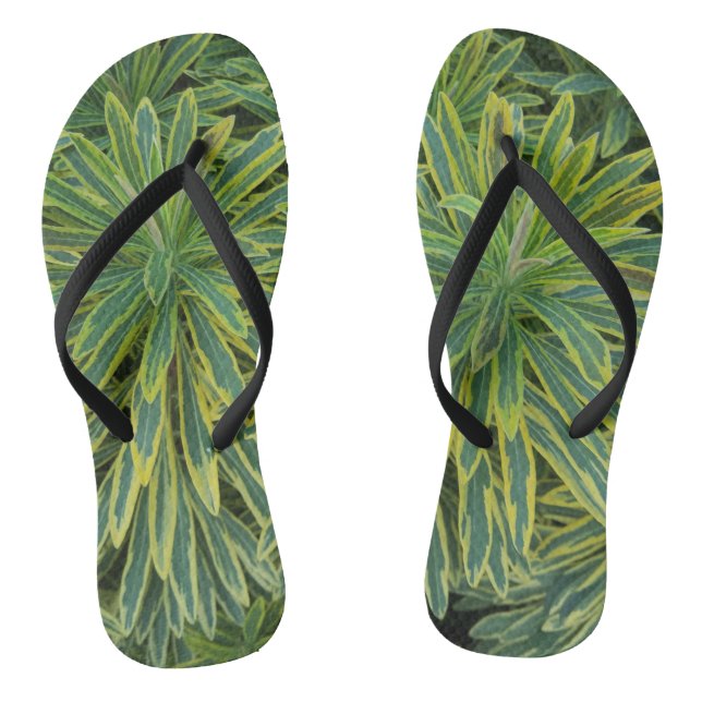 Chanclas Plantas de Splendor Tropicales (Plantilla)