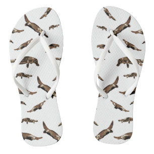 Chanclas Platypus (Ornithorhynchus anatinus)