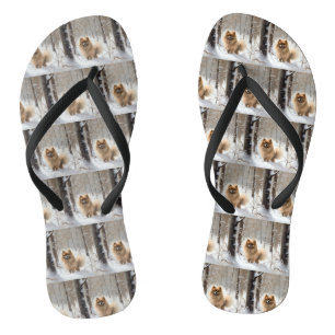 Chanclas Pomerania Deja que nieve Navidad