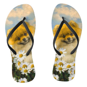 Chanclas Pomerania en pintura de Daisies - Arte original de