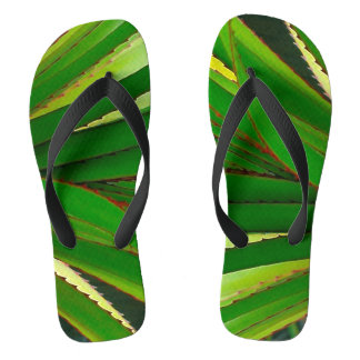 Chanclas Primer plano de la piña de tornillo