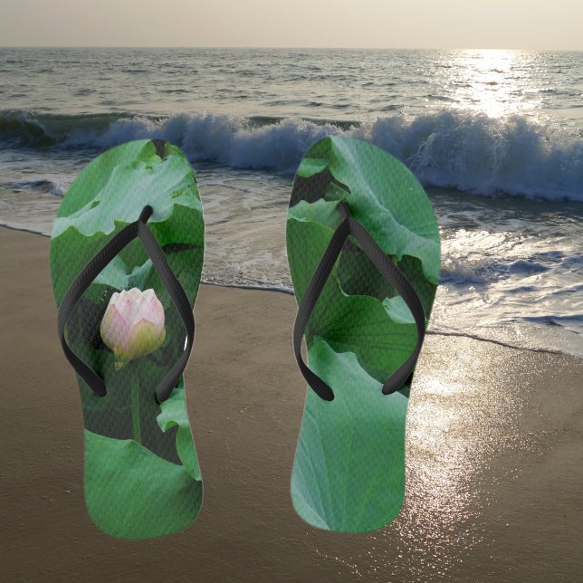 Chanclas Próximamente floreciendo (Subido por el creador)
