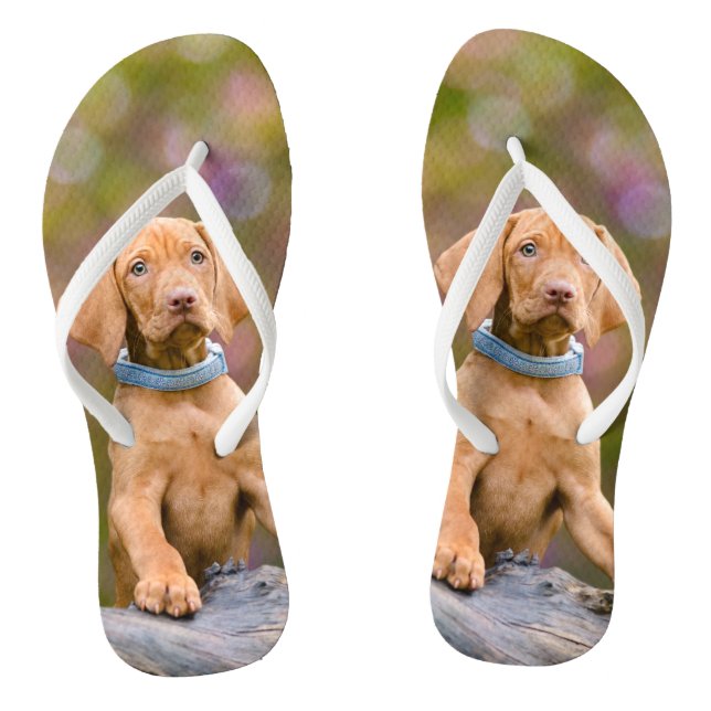 Chanclas _-puppyeyed lindo de la foto del perrito del perro (Plantilla)