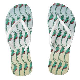 Chanclas Quetzal de Resplendante Birdorable