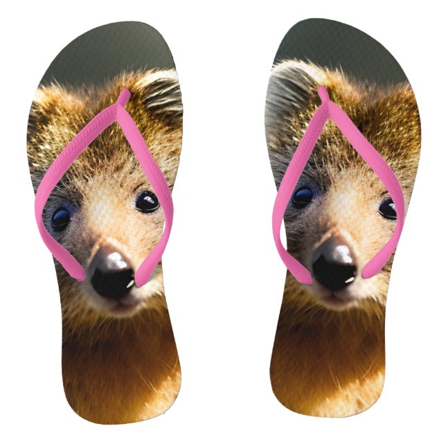 Chanclas Quintin El Ginger Quokka, Flip Flops (Plantilla)