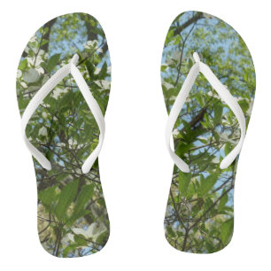 Chanclas Ramas de Dogwood florecen árboles de primavera