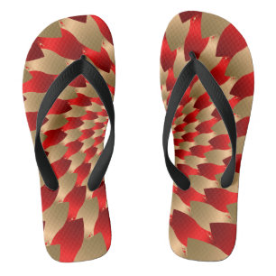 Chanclas Resumen