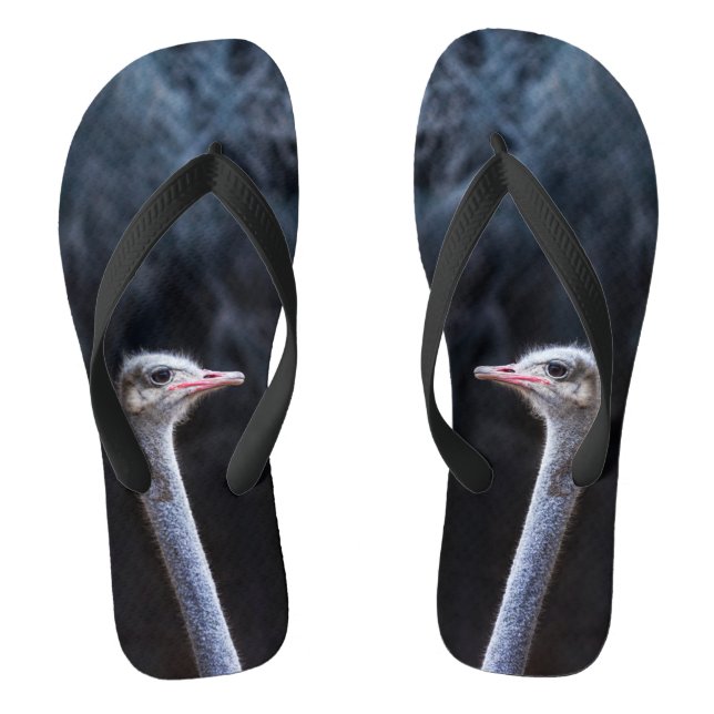 Chanclas retrato de avestruz (Plantilla)