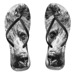 Chanclas Retrato de oso pardo