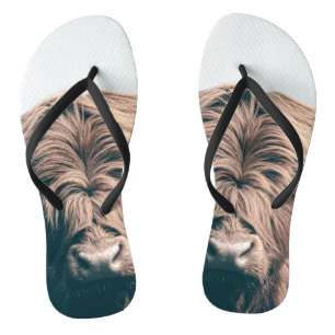Chanclas Retrato de vaca Highland