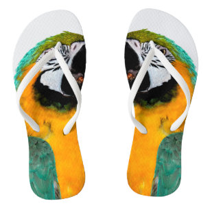 Chanclas retrato verde azulado del pájaro del loro del