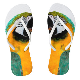 Chanclas retrato verde azulado del pájaro del loro del