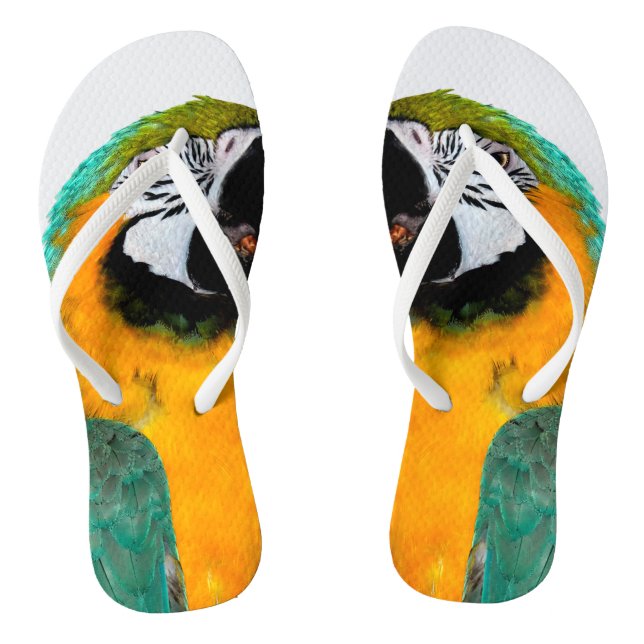 Chanclas retrato verde azulado del pájaro del loro del (Plantilla)