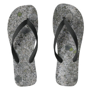 Chanclas Roca gris del granito con el musgo verde