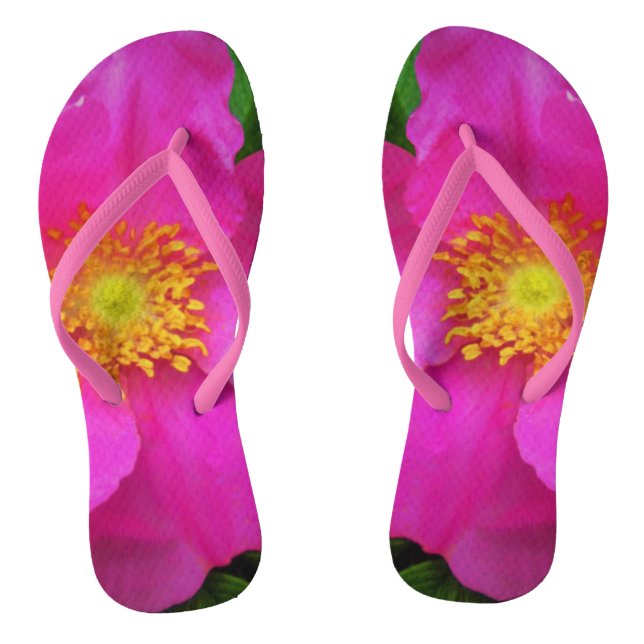 Chanclas Rosa de Alberta salvaje Canadá Flor rosa brillante (Plantilla)