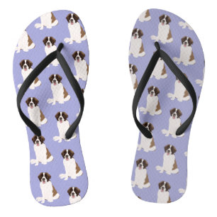Chanclas San Bernard