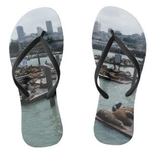 Chanclas San Francisco y leones marinos del Pier 39 en el h