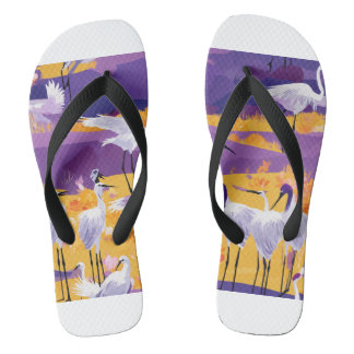 Chanclas Sandalia de hombre