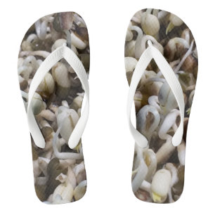 Chanclas Sbrotes de Mung Orgánico - Una Supercomida Empaque