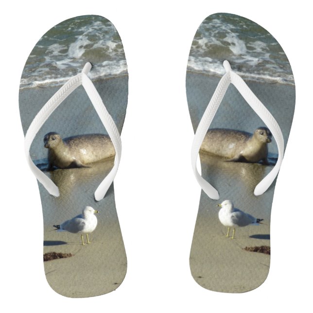 Chanclas Sello de puerto en La Jolla California (Plantilla)