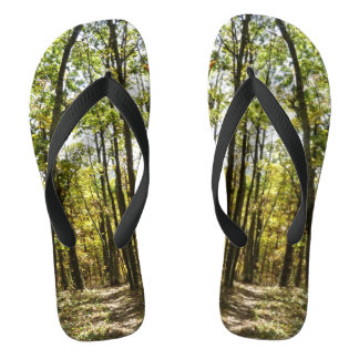 Chanclas Sendero Apalache en octubre en Shenandoah
