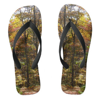 Chanclas Sendero Sunlit Fall en el Parque Estatal Laurel Hi