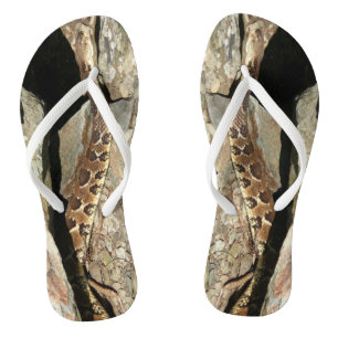 Chanclas Serpiente de cascabel en el Parque Nacional Shenan