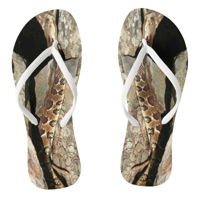 Chanclas Serpiente de cascabel en el Parque Nacional Shenan (Plantilla)