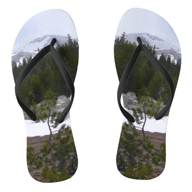 Chanclas Sierra Nevada y nieve en Yosemite (Plantilla)