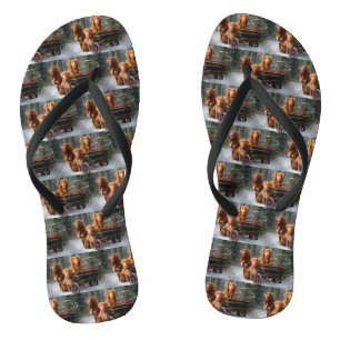 Chanclas Snowowy Sleigh, recuperadora de peaje de Nueva Esc