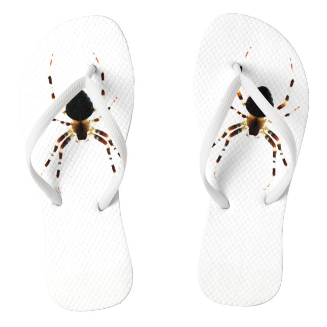 Chanclas Spider ffcna (Plantilla)