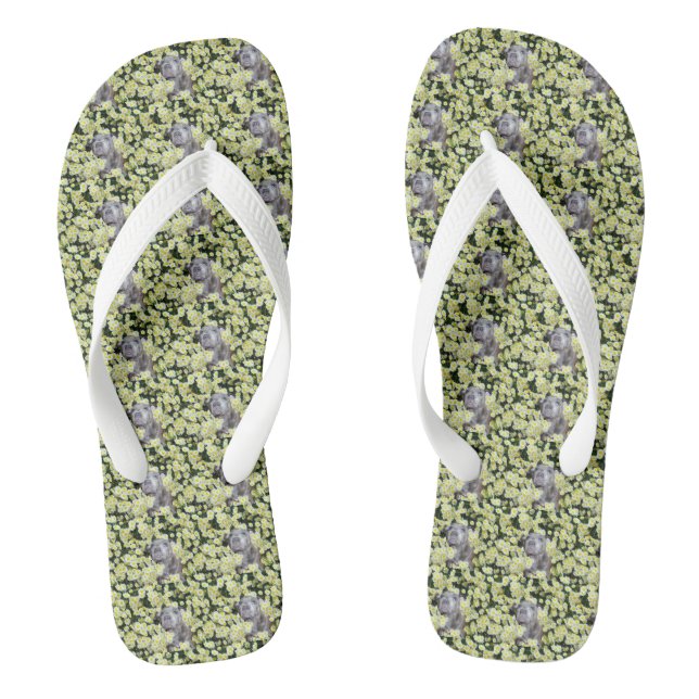 Chanclas Staffy en las margaritas,  (Plantilla)