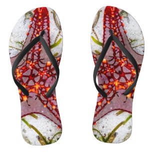 Chanclas Starfish, Zanzíbar, Tanzania