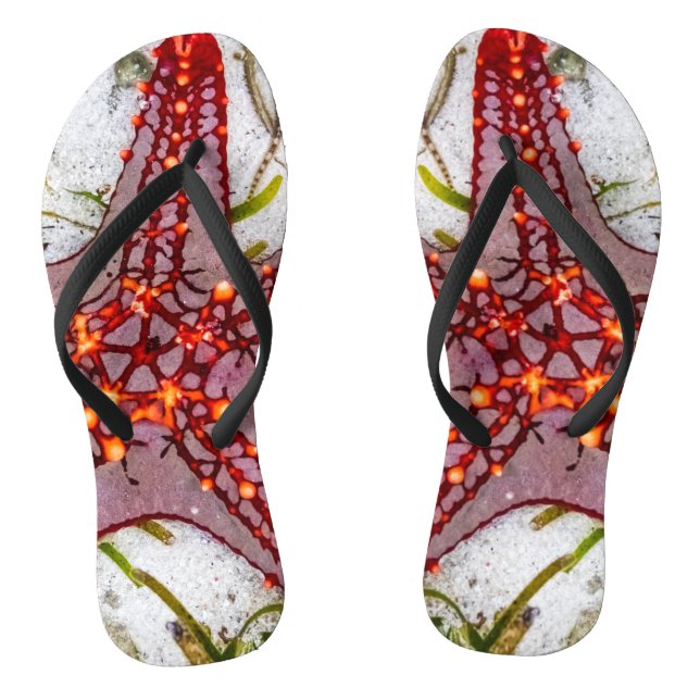 Chanclas Starfish, Zanzíbar, Tanzania (Plantilla)