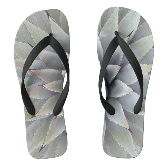 Chanclas Suculento desierto de Agave Plant Blue Cacti Tequi (Plantilla)