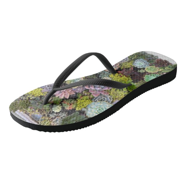 Chanclas Suculentos jardines (Angular)