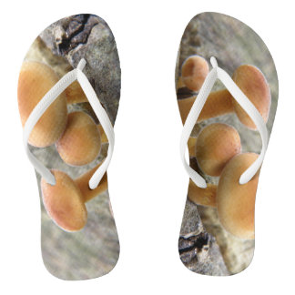 Chanclas Taburetes en un árbol de voladizo