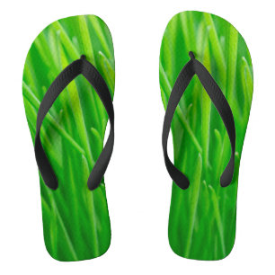 Chanclas Trigo verde vibrante fresco