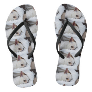 Chanclas Tu mascota perro cachorro foto personalizada patró