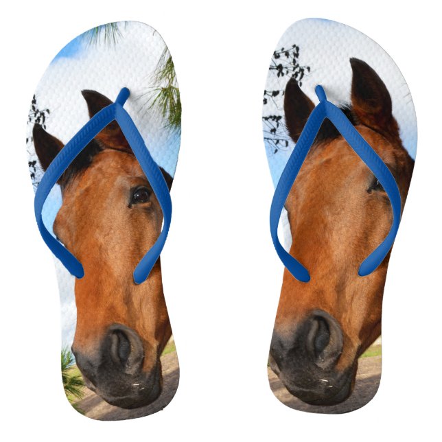 Chanclas Tulipán, el caballo de la bahía marrón, azul (Plantilla)