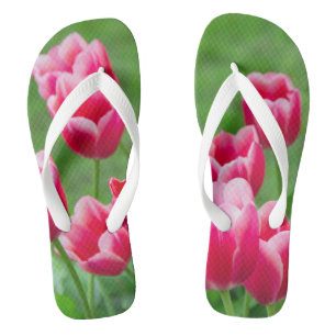 Chanclas Tulipanes escarlatas lindos en el jardín