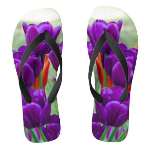 Chanclas Tulipanes morados oscuros en un día soleado en el 