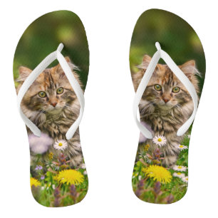 Chanclas Un gato chiflado de Maine en pradera de flores