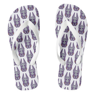 Chanclas Universidad de Albany Gran Cabeza de Mascota Dane