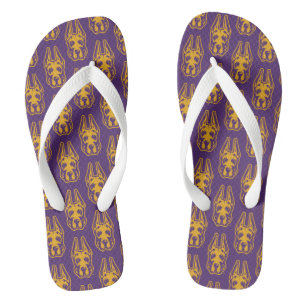 Chanclas Universidad de Albany Gran Cabeza de Mascota Dane