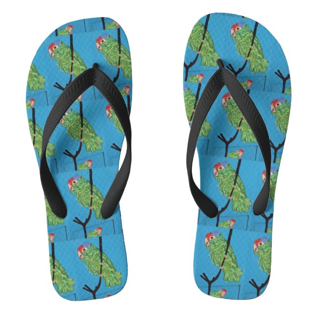 Chanclas verde salvaje loros azul (Plantilla)