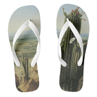 Chanclas Vista desde Maricopa Mountain cerca de Rio Gila po