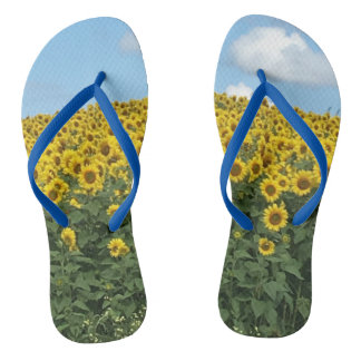 Chanclas Volteado de girasol