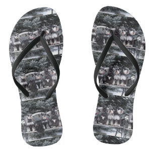 Chanclas Volteado Schnauzer