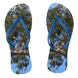 Chanclas "Vuelo de lo salvaje: Cockatoos blancos australian